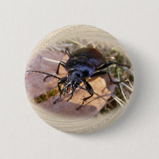 Badge Rond 5 Cm Bouton de ~ de scarabée moulu