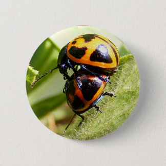 Badge Rond 5 Cm Bouton de ~ de scarabées de Milkweed