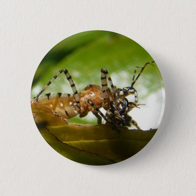 Badge Rond 5 Cm Bouton de ~ d'insecte d'assassin (Devant)