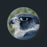 Badge Rond 5 Cm Bouton de faucon pérégrin<br><div class="desc">Les faucons pérégrins sont les oiseaux de la proie,  célèbres lisses et corneille-classés pour leur vitesse et beauté. L'artiste Kathie Miller de faune a capturé cet oiseau de proie magnifique utilisant l'aerographe.</div>