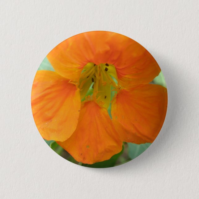 Badge Rond 5 Cm Bouton de fleurs de Nasturtium Orange (Devant)