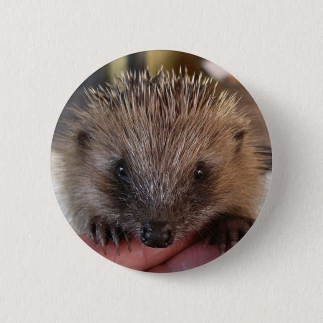 Badge Rond 5 Cm Bouton de hérisson de bébé (Devant)