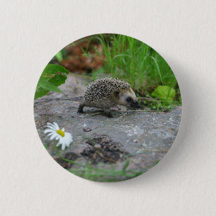 Badge Rond 5 Cm Bouton de hérisson - personnalisable