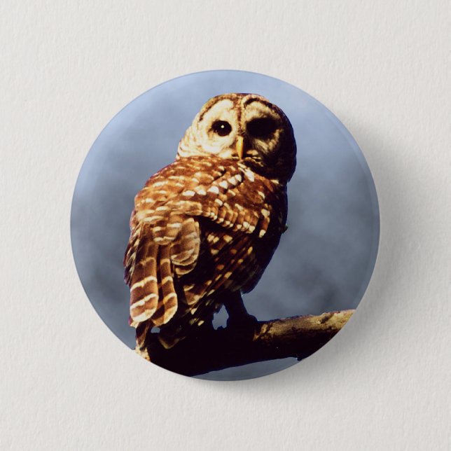 Badge Rond 5 Cm Bouton de hibou barré (Devant)