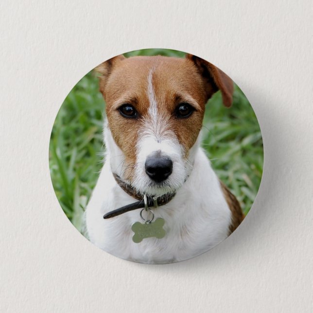 Badge Rond 5 Cm Bouton de Jack Russell Terrier (Devant)