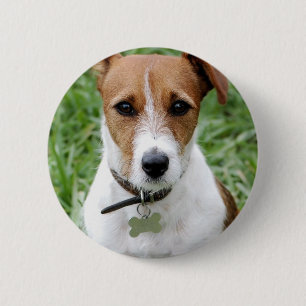 Badge Rond 5 Cm Bouton de Jack Russell Terrier