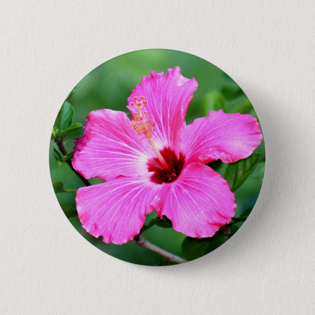 Badge Rond 5 Cm Bouton de ketmie (Devant)