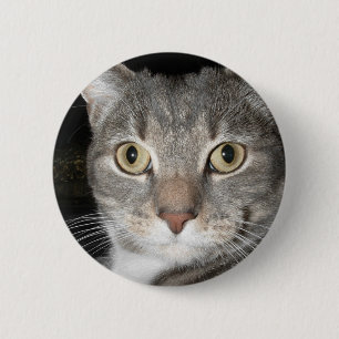 Badge Rond 5 Cm Bouton de Kitty