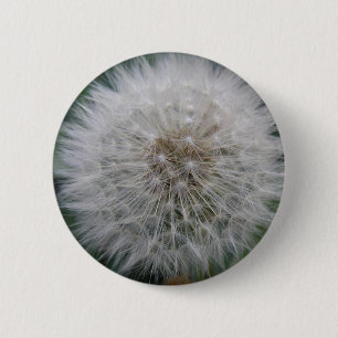 Badge Rond 5 Cm Bouton de la fleur de Dandelion