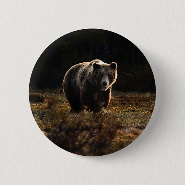 Badge Rond 5 Cm Bouton de l'ours (Devant)