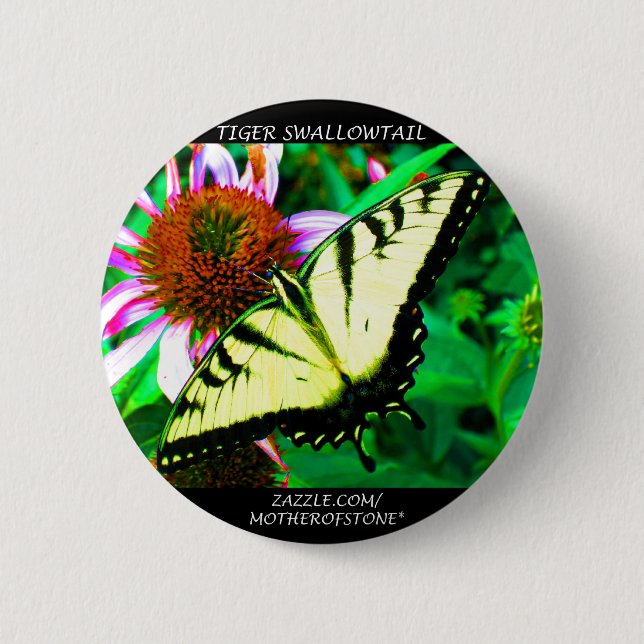Badge Rond 5 Cm Bouton de machaon de tigre (blanc transparent) (Devant)