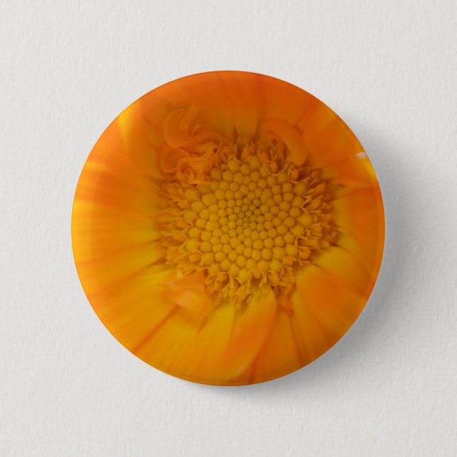 Badge Rond 5 Cm Bouton de macro orange Marigold (Devant)
