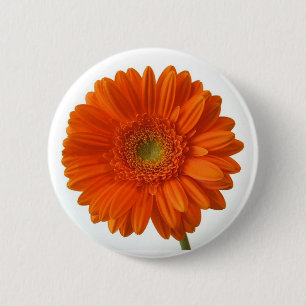 Badge Rond 5 Cm Bouton de marguerite orange