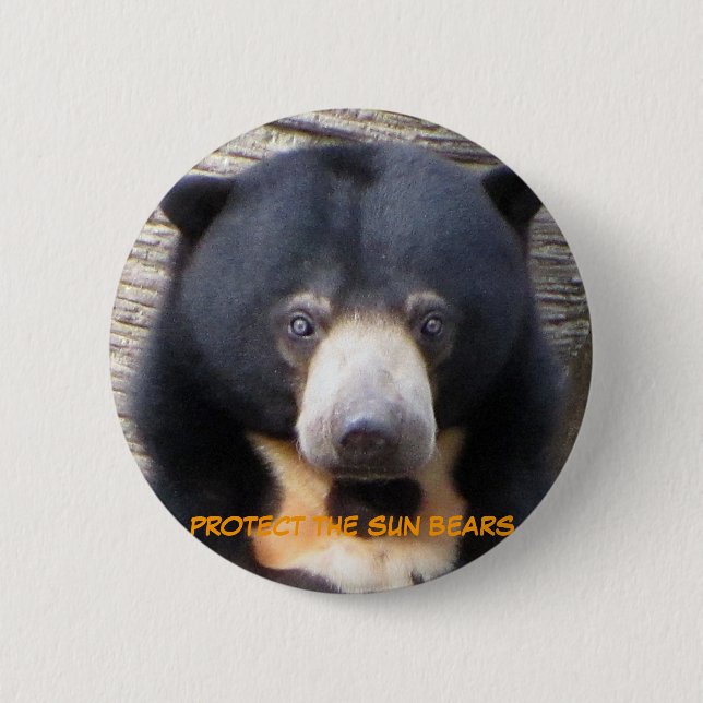 Badge Rond 5 Cm Bouton de Pagi d'ours de Sun (Devant)