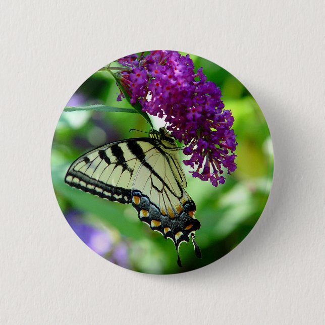 Badge Rond 5 Cm Bouton de papillon (Devant)
