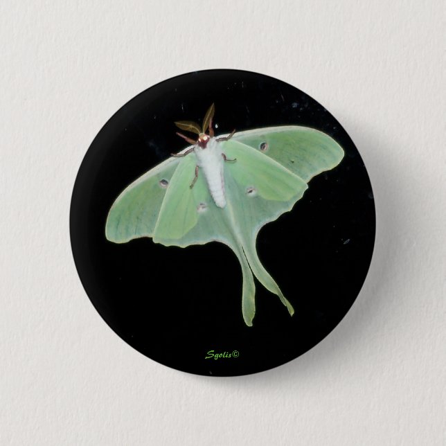 Badge Rond 5 Cm Bouton de papillon lunaire insecte (Devant)