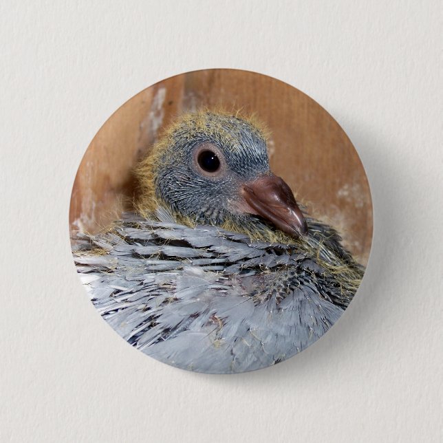Badge Rond 5 Cm Bouton de pigeon voyageur de bébé (Devant)