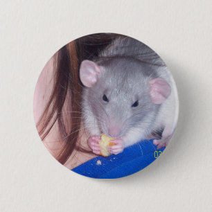 Badge Rond 5 Cm Bouton de Pinback de rat d'animal familier