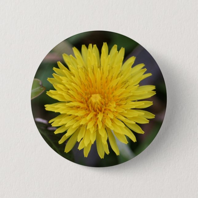 Badge Rond 5 Cm Bouton de pissenlit (Devant)