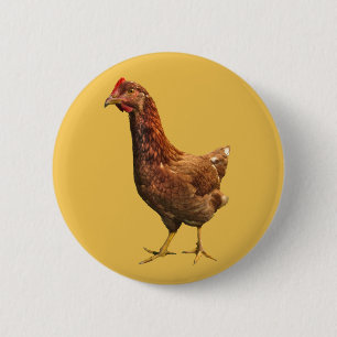 Badge Rond 5 Cm Bouton de poulet de poule de rouge d'île de Rhode