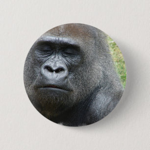 Badge Rond 5 Cm Bouton de regard de gorille