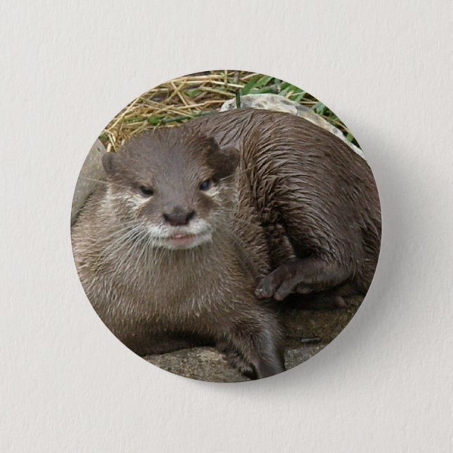 Badge Rond 5 Cm Bouton de repos de loutre (Devant)