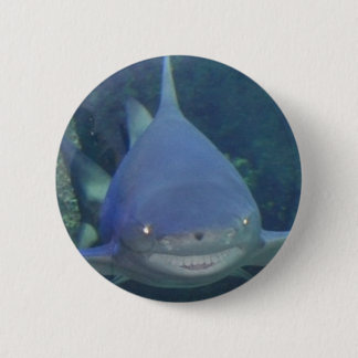 Badge Rond 5 Cm Bouton de requin