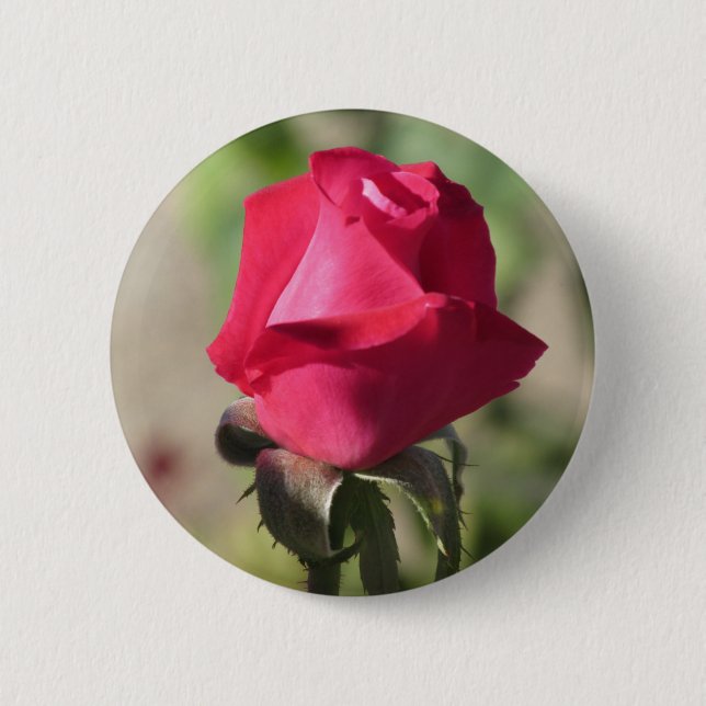 Badge Rond 5 Cm Bouton de rose de rose (Devant)