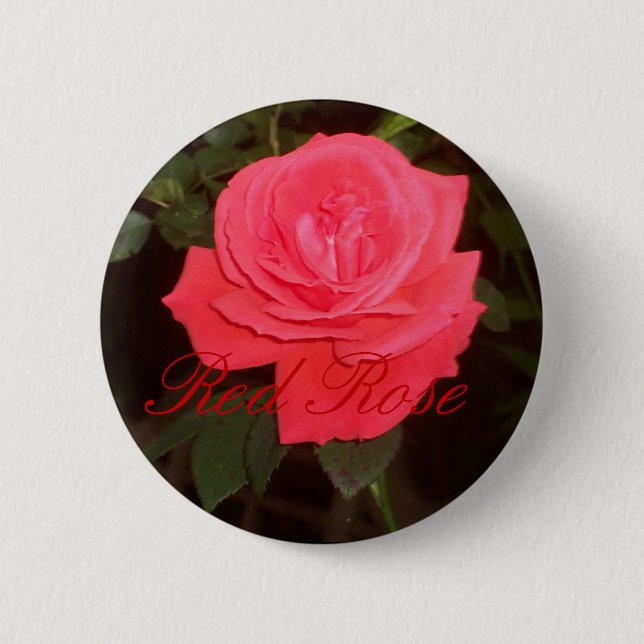 Badge Rond 5 Cm Bouton de rose rouge (Devant)
