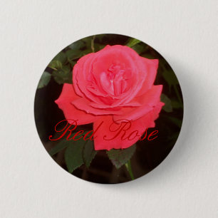 Badge Rond 5 Cm Bouton de rose rouge