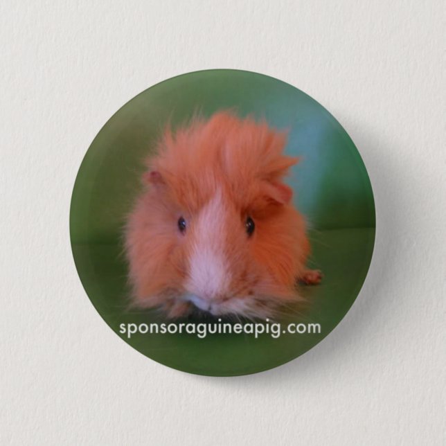 Badge Rond 5 Cm Bouton de SAGP (Devant)