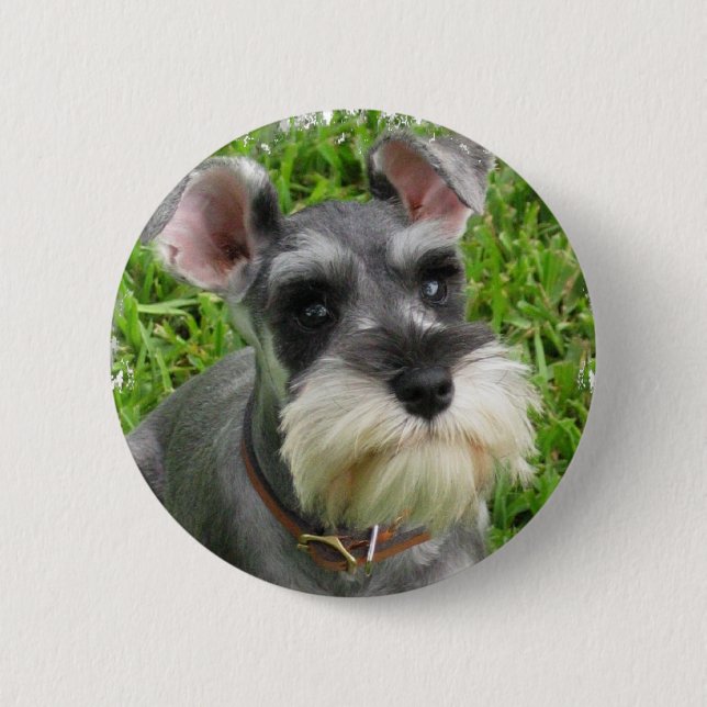Badge Rond 5 Cm Bouton de Schnauzer miniature (Devant)