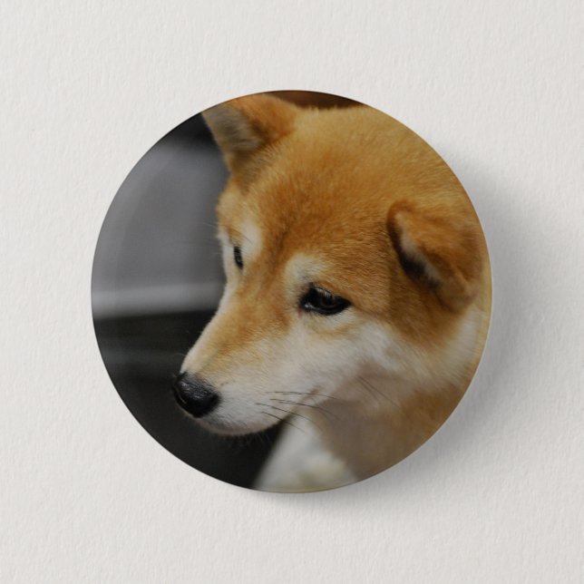 Badge Rond 5 Cm Bouton de Shiba Inu (Devant)