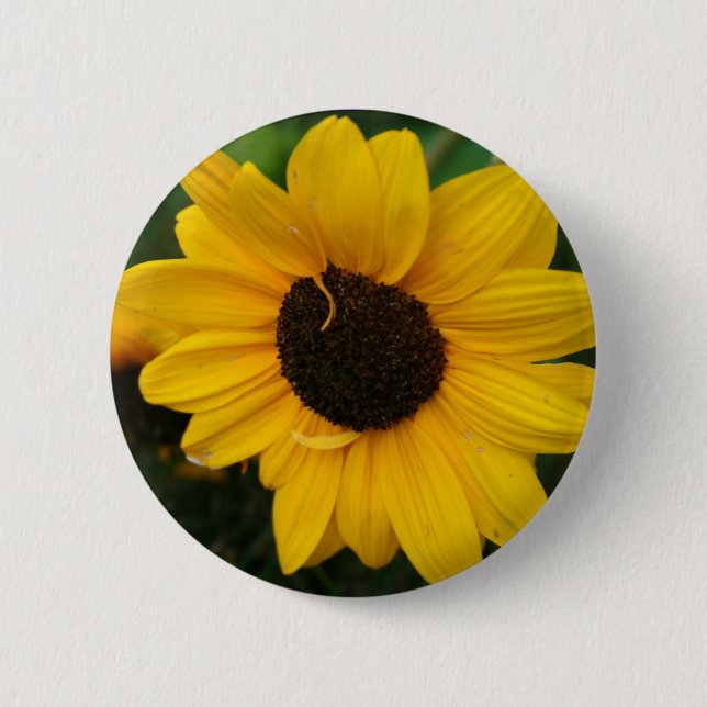 Badge Rond 5 Cm Bouton de tournesol (Devant)