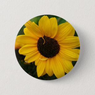 Badge Rond 5 Cm Bouton de tournesol