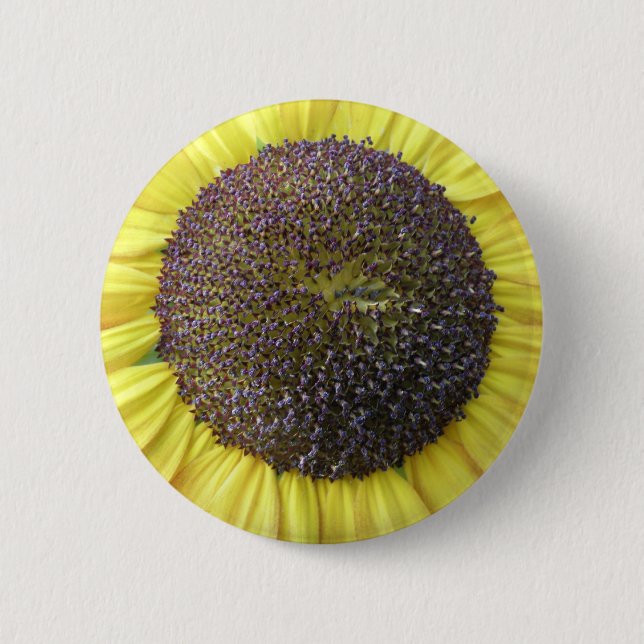 Badge Rond 5 Cm Bouton de tournesol jaune (Devant)