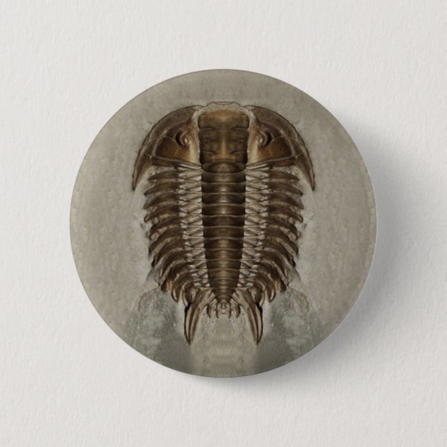 Badge Rond 5 Cm Bouton de Trilobite (Devant)