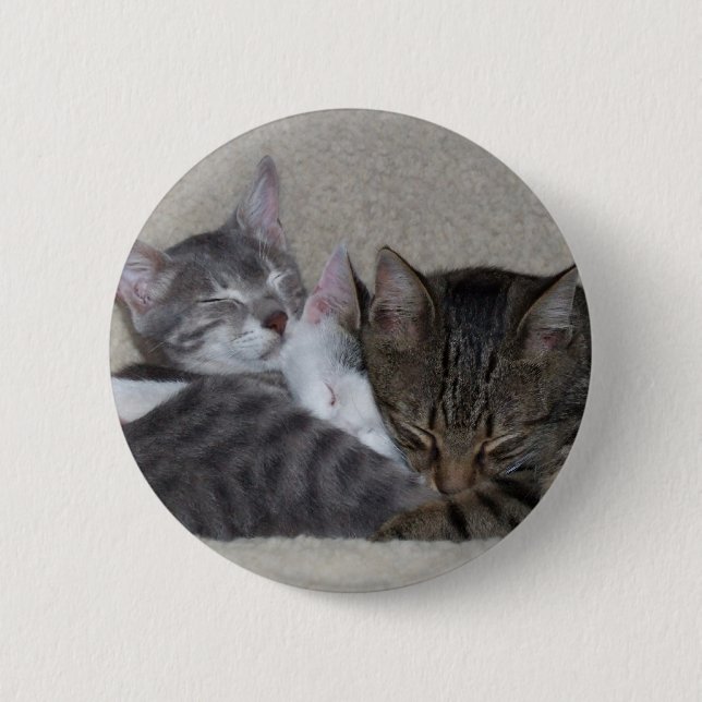 Badge Rond 5 Cm Bouton de trio de chat (Devant)