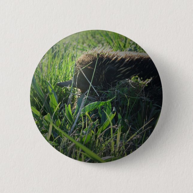 Badge Rond 5 Cm Bouton d'Echidna (Devant)