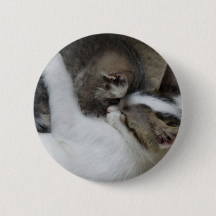 Badge Rond 5 Cm Bouton Déclenches de chat