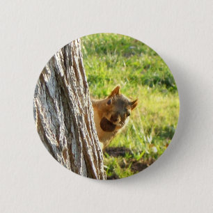 Badge Rond 5 Cm Bouton d'écureuil