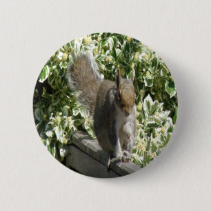 Badge Rond 5 Cm Bouton d'écureuil mignon