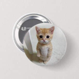 Badge Rond 5 Cm Bouton d'épingle de mème de chat El Gato