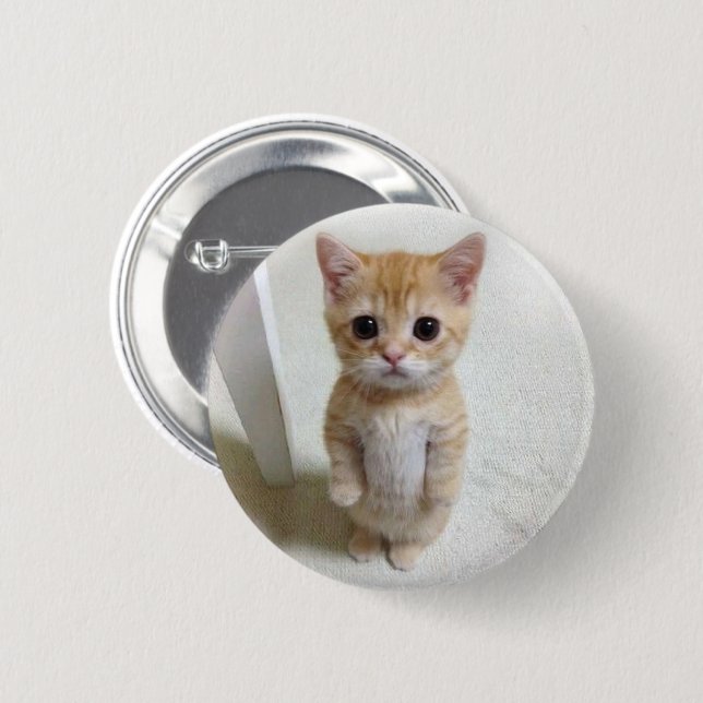 Badge Rond 5 Cm Bouton d'épingle de mème de chat El Gato (Devant & derrière)