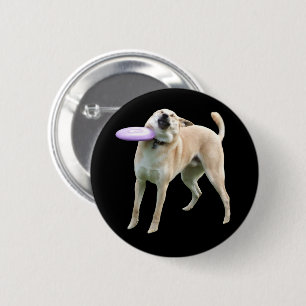 Badge Rond 5 Cm Bouton d'épingle de mème de chien de Frisbee