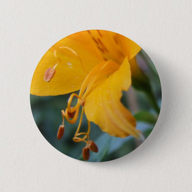 Badge Rond 5 Cm Bouton Détails du fleur (Devant)