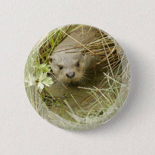 Badge Rond 5 Cm Bouton d'habitat de loutre de rivière