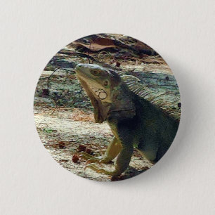 Badge Rond 5 Cm Bouton d'iguane de Bahama
