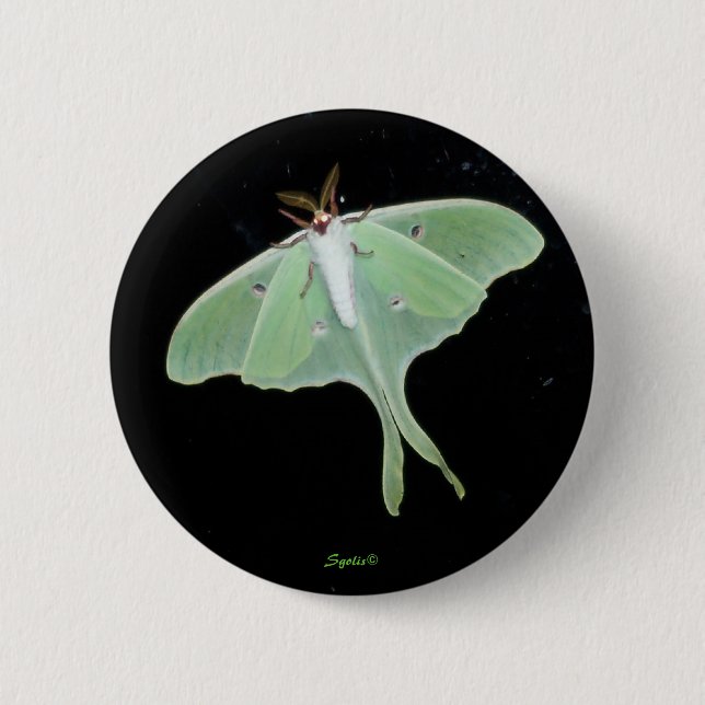 Badge Rond 5 Cm Bouton d'insecte Luna Moth (Devant)