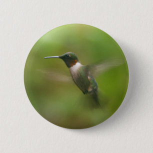 Badge Rond 5 Cm Bouton d'oiseau-colibri de Ruby-Homme